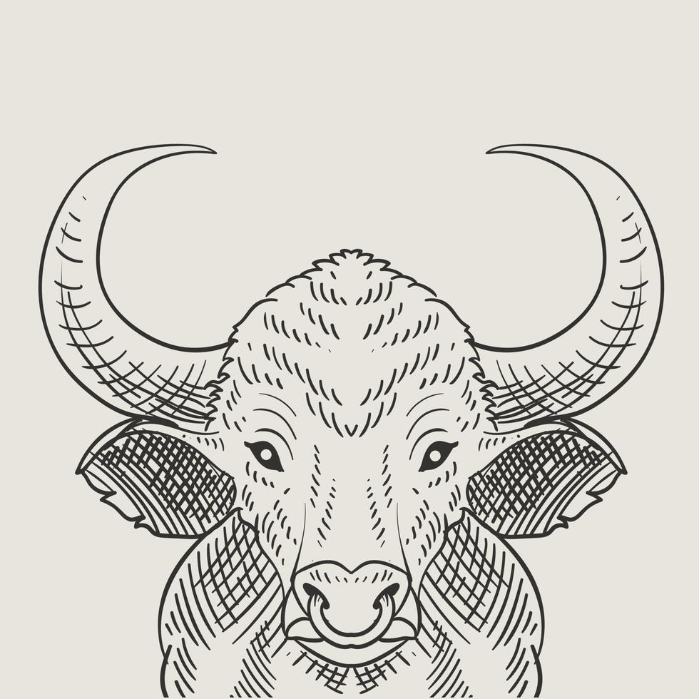 illustration vintage bull gravyr stil vektor