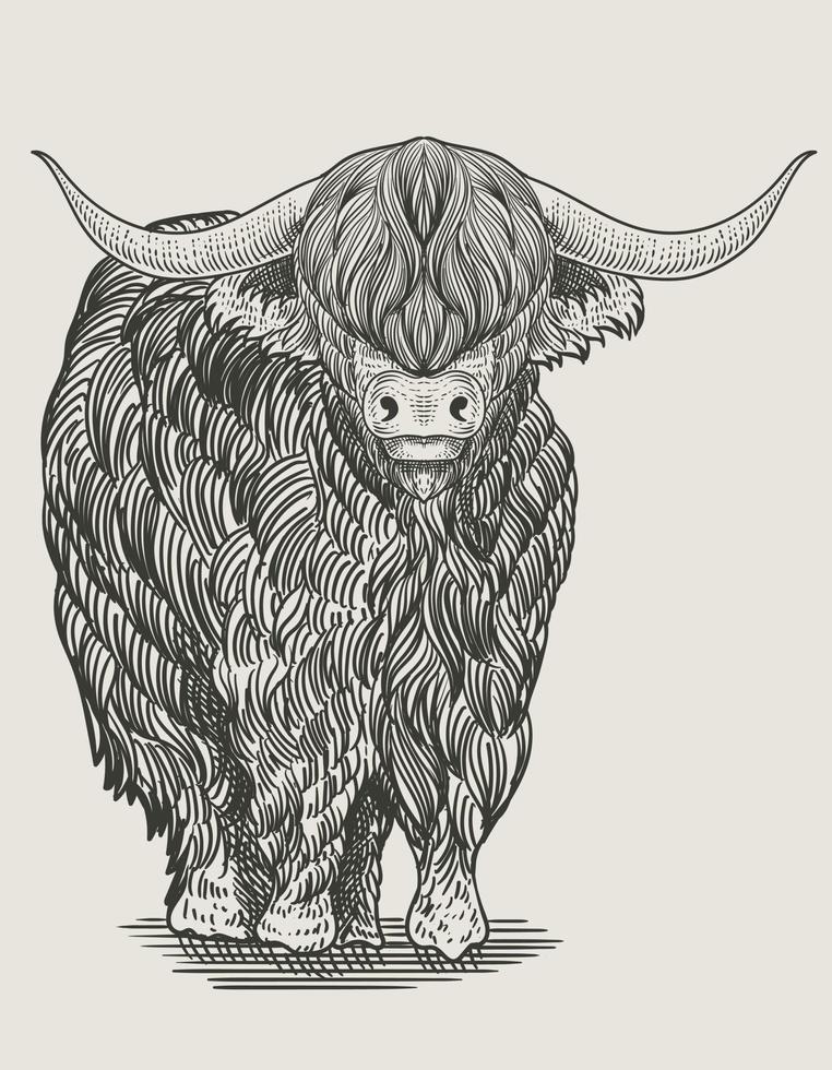 illustration vintage bull gravyr stil vektor