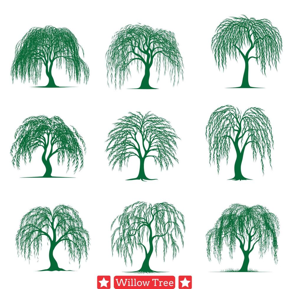 sanft flüstert Weide Baum Silhouette bündeln zum sublimieren und beruhigend Designs vektor