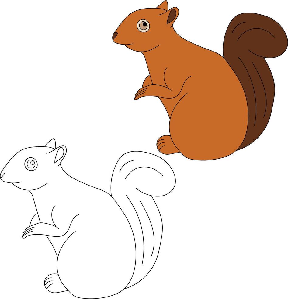 Eichhörnchen Clip Art Satz. Karikatur wild Tiere Clip Art einstellen zum Liebhaber von Tierwelt vektor