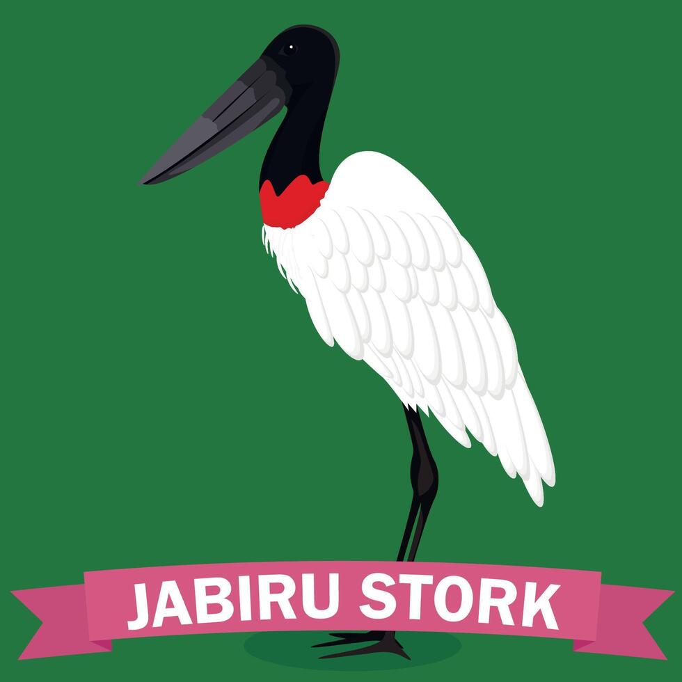 jabiru Karikatur Gattung Vogel Illustration vektor