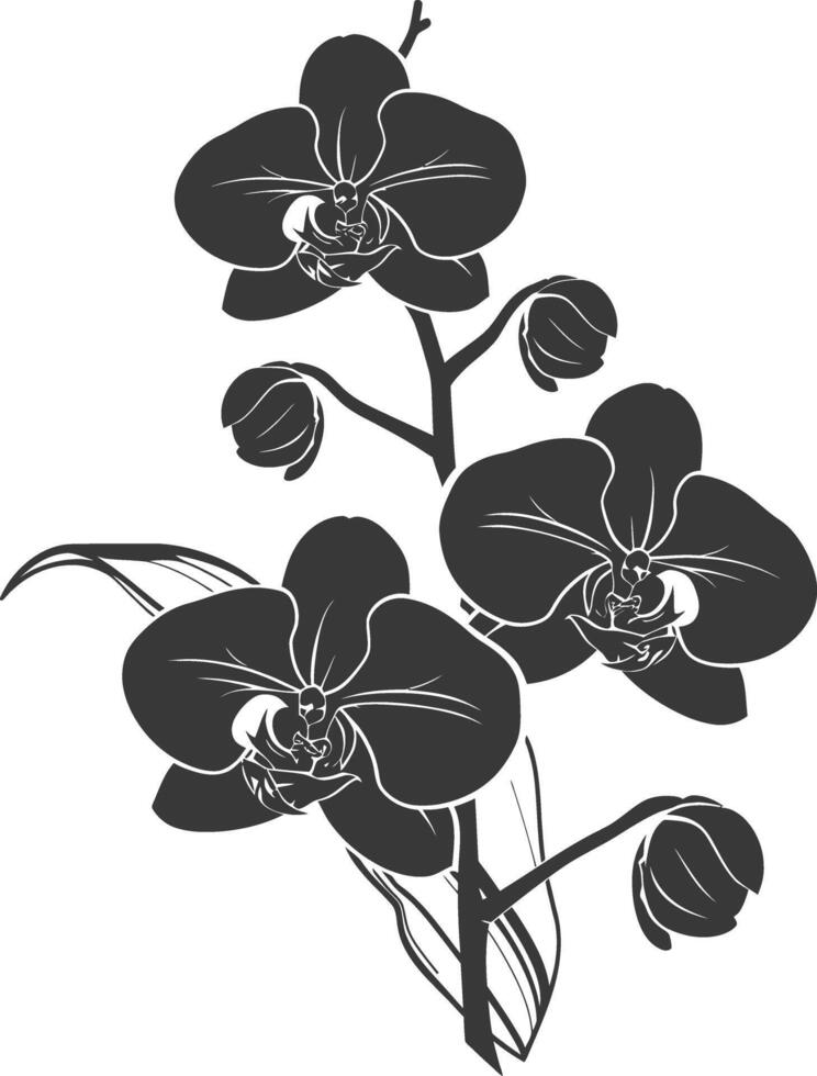 ai genererad silhuett orkide blomma svart Färg endast vektor