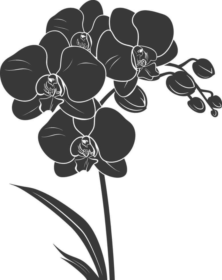 ai genererad silhuett orkide blomma svart Färg endast vektor