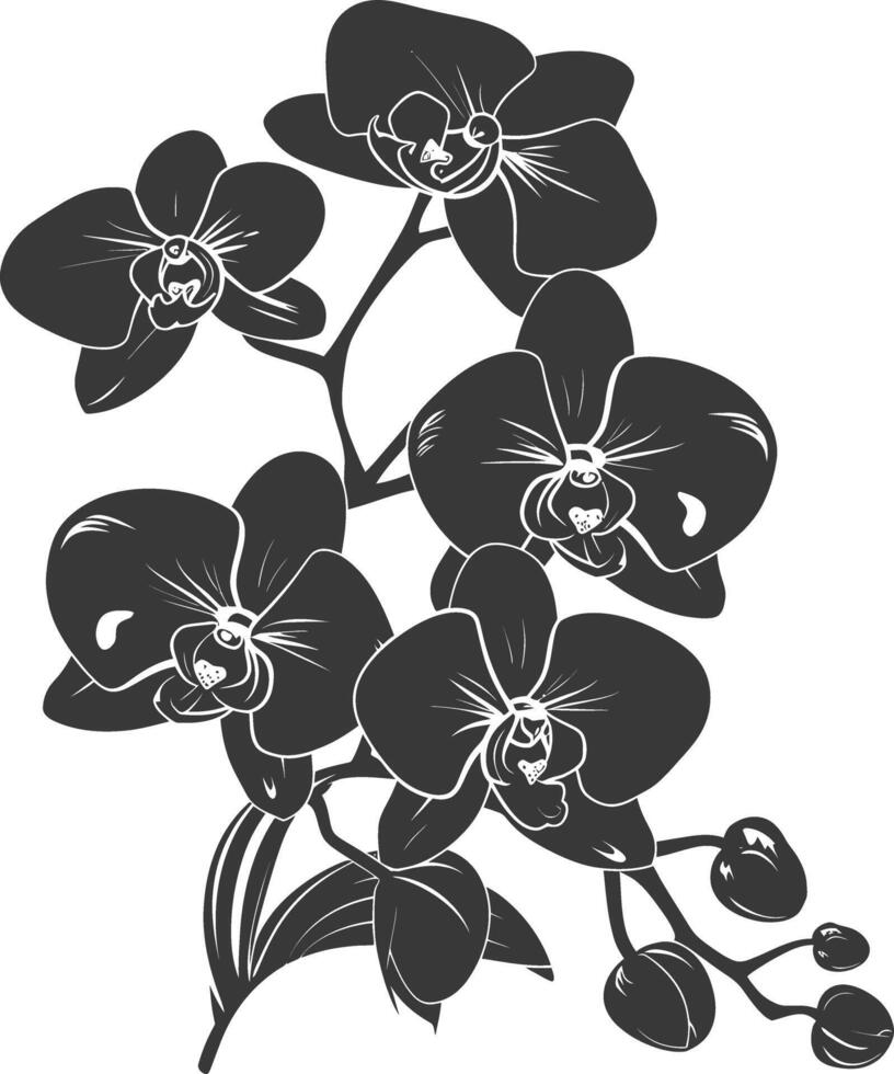 ai generiert Silhouette Orchidee Blume schwarz Farbe nur vektor