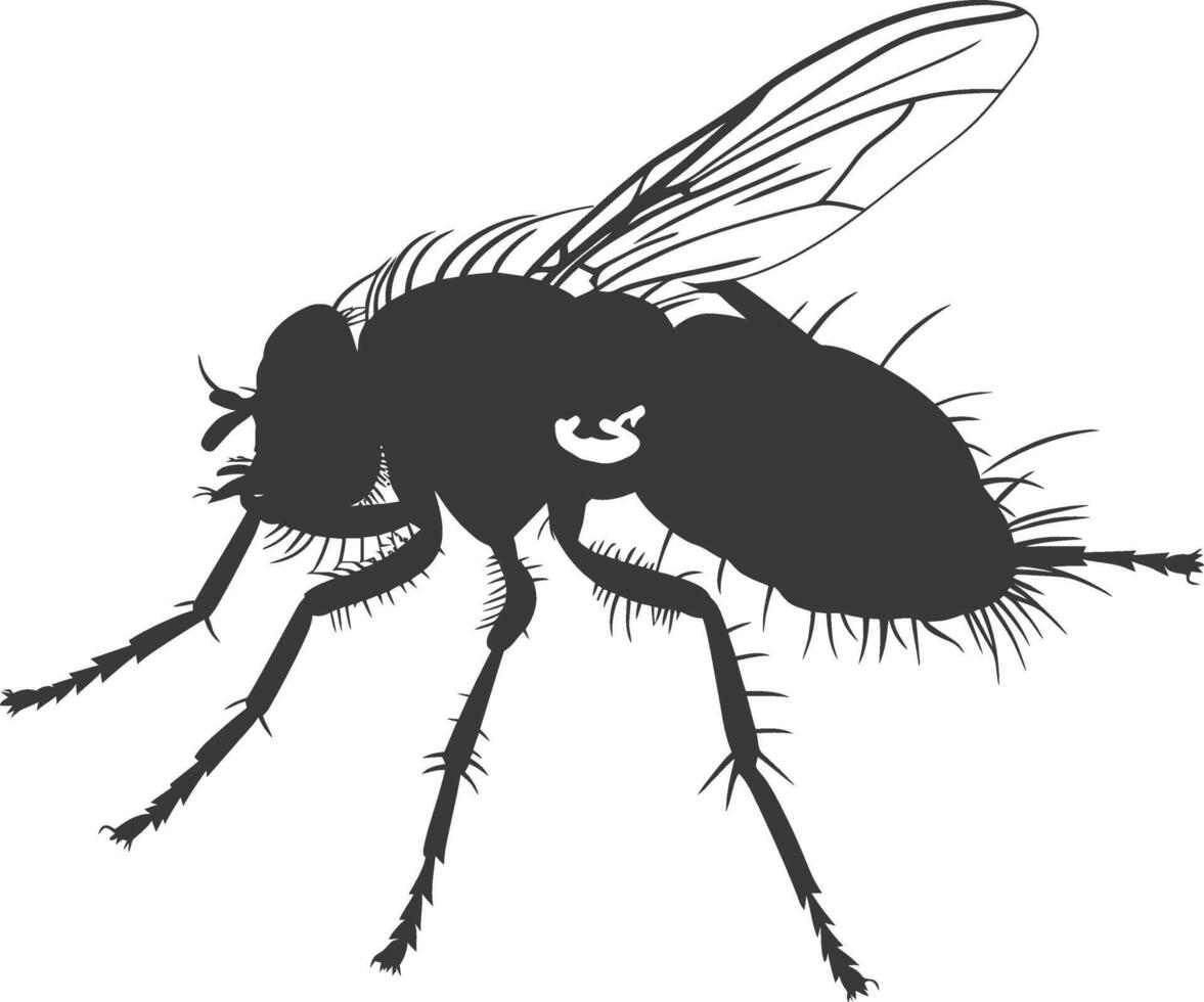 ai generiert Silhouette fliegen Insekt Tier schwarz Farbe nur voll vektor