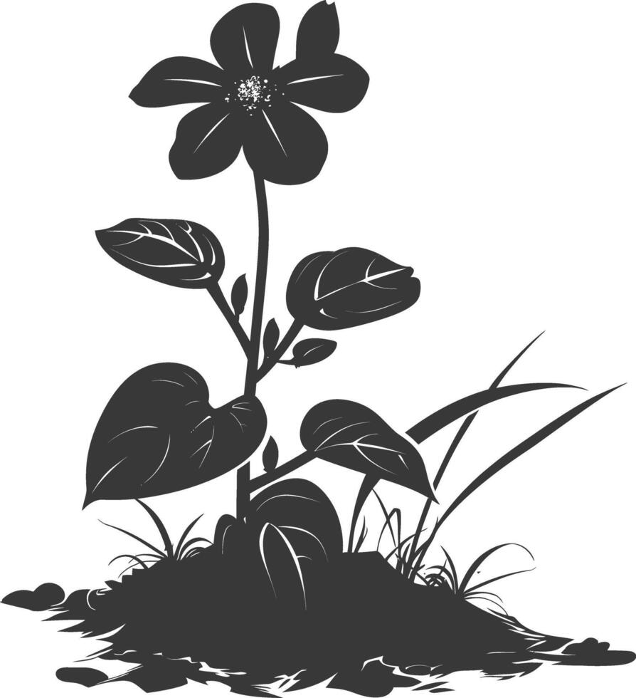 Silhouette Immergrün Blume im das Boden schwarz Farbe nur vektor