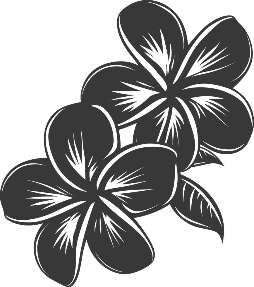 silhuett plumeria blomma svart Färg endast vektor