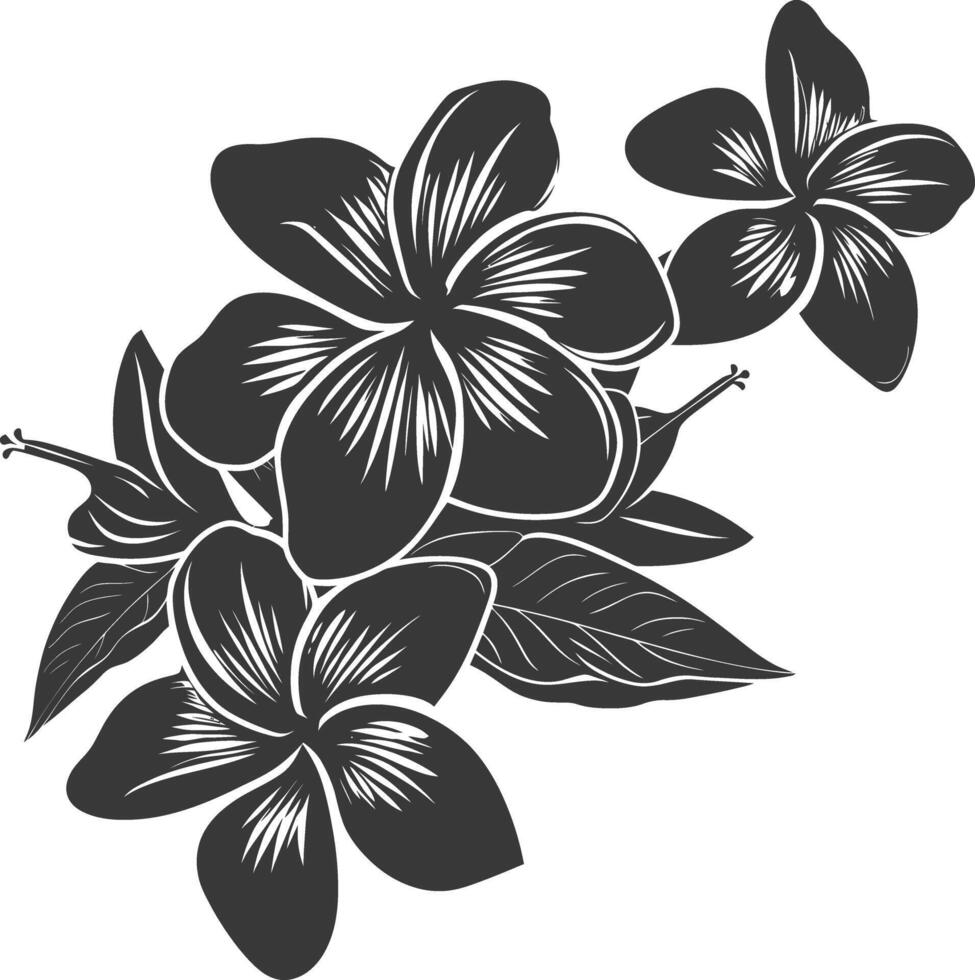 Silhouette Plumeria Blume schwarz Farbe nur vektor