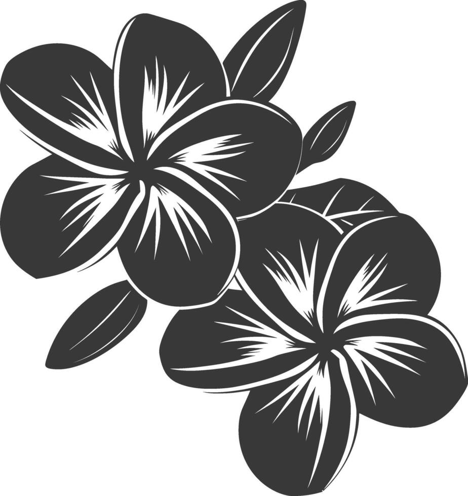 Silhouette Plumeria Blume schwarz Farbe nur vektor