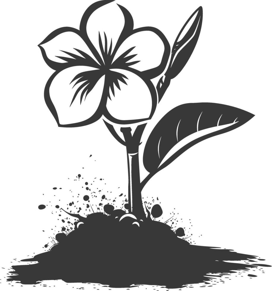 Silhouette Plumeria Blume im das Boden schwarz Farbe nur vektor