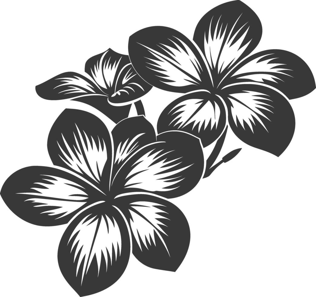 silhuett plumeria blomma svart Färg endast vektor