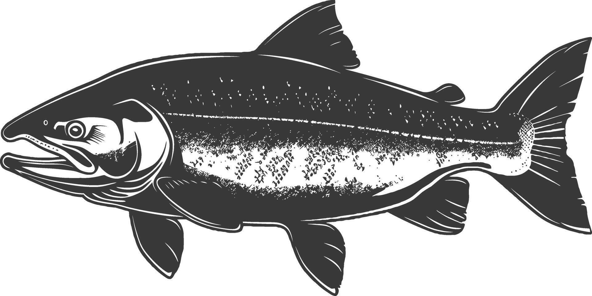 silhuett lax fisk djur- svart Färg endast full kropp vektor