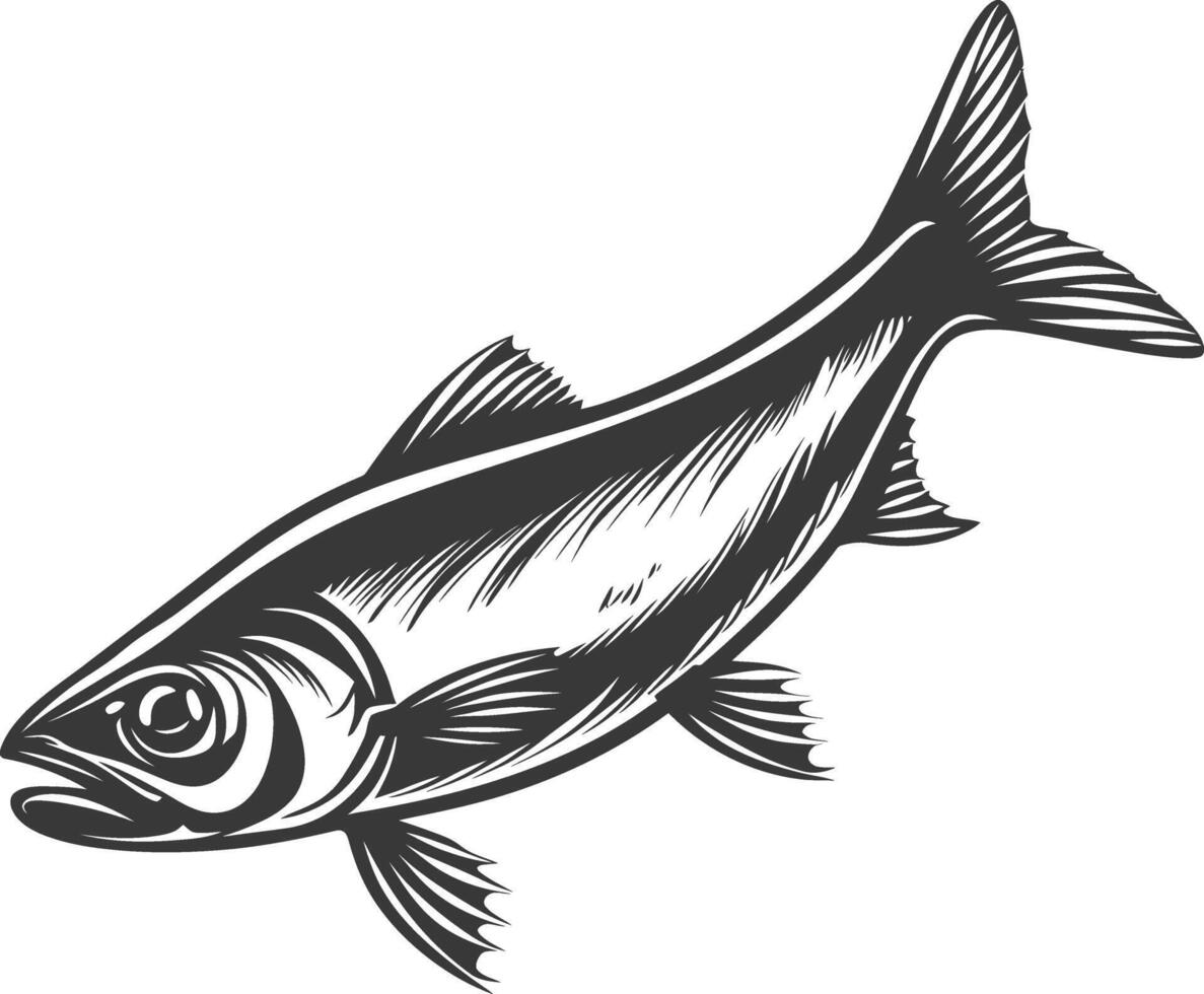 silhuett sardin fisk djur- svart Färg endast full kropp vektor