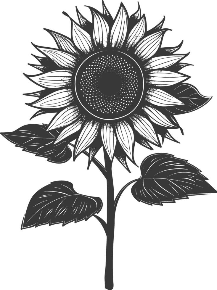 Silhouette Sonnenblume Blume schwarz Farbe nur vektor