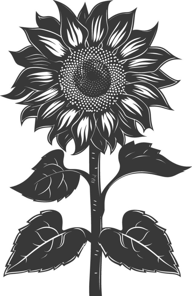 Silhouette Sonnenblume Blume schwarz Farbe nur vektor