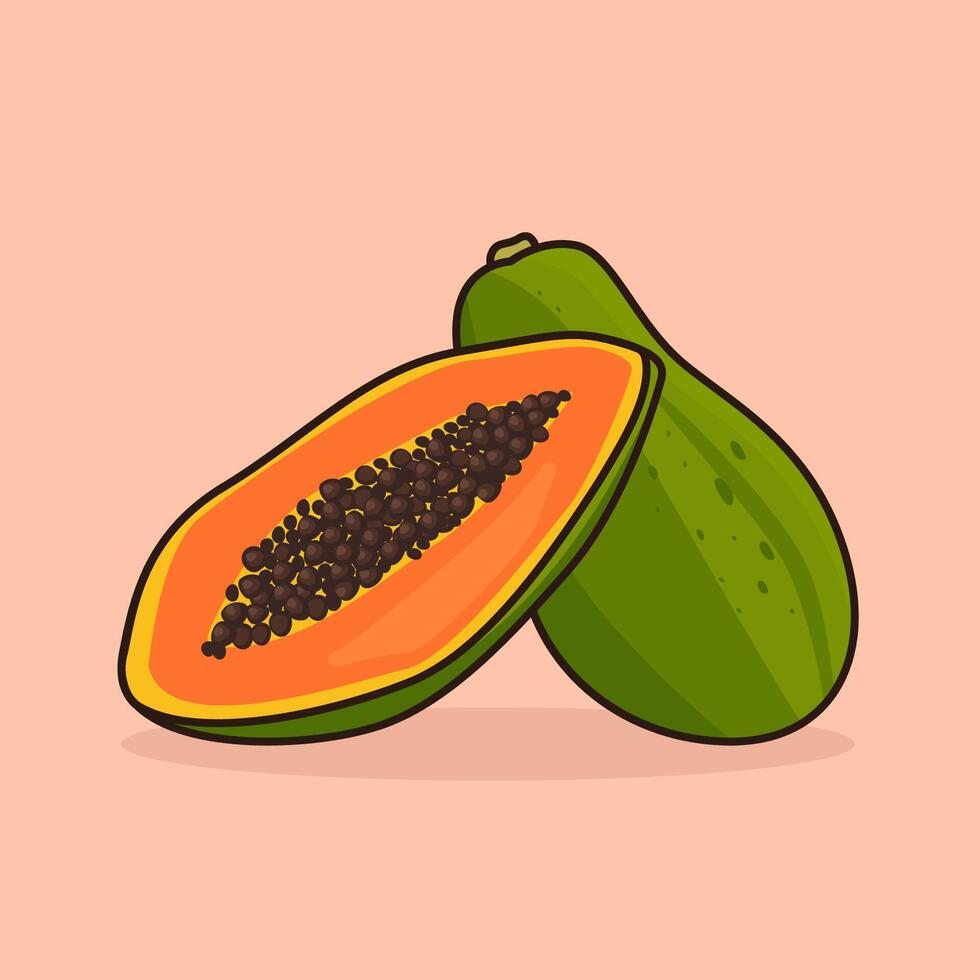 zwei Paare von Papayas Obst Illustration vektor