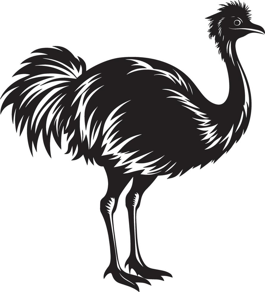 emu - svart och vit illustration för tatuering eller t-shirt design vektor