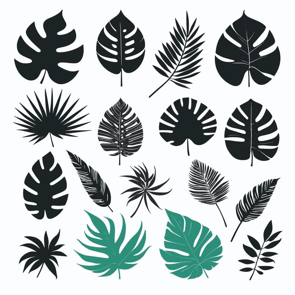 exotisk blad uppsättning samling av tropisk löv silhuett vektor