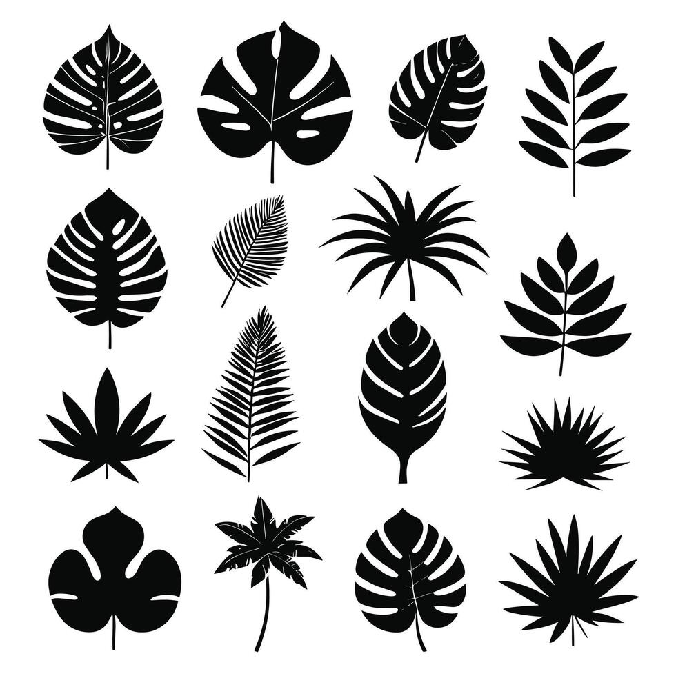 exotisch Blatt einstellen 2d Sammlung von tropisch Blätter Silhouette vektor