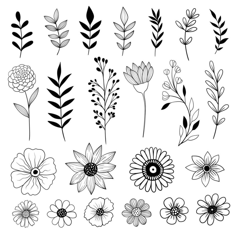 samling av hand dragen blommor, löv och grenar, svart och vit illustration, översikt teckning vektor