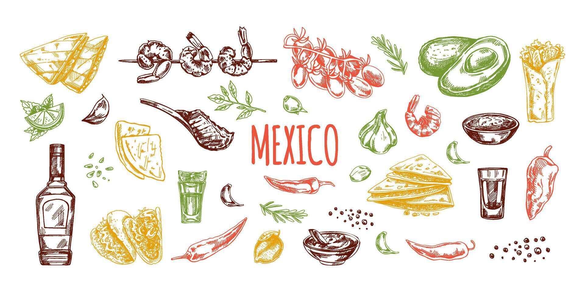 handgemalt farbig einstellen von realistisch Mexikaner Geschirr und Produkte. Jahrgang skizzieren Zeichnungen von Latein amerikanisch Küche. Tinte Illustration. Mexikaner Kultur. vektor