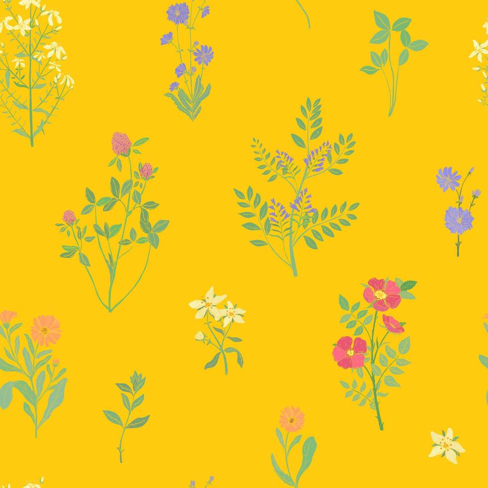 ljus färgad sömlös mönster med underbar vild blomning blommor eller blommande örtartad växter på gul bakgrund. botanisk illustration för tyg skriva ut, tapet, omslag papper. vektor