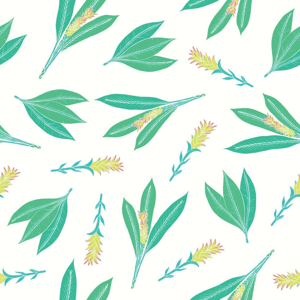 naturlig sömlös mönster med gurkmeja löv och blomställningar. skön ayurvediska blommande växt hand dragen på vit bakgrund. färgrik blommig illustration för tyg skriva ut, bakgrund. vektor