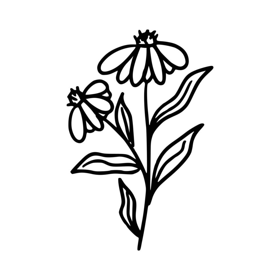 ritad för hand blomma och löv vektor