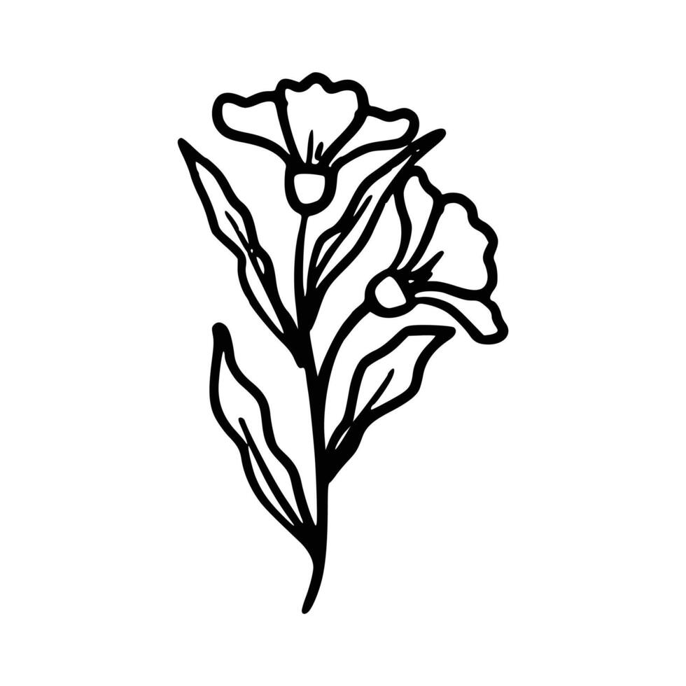 ritad för hand botanisk blommig vektor