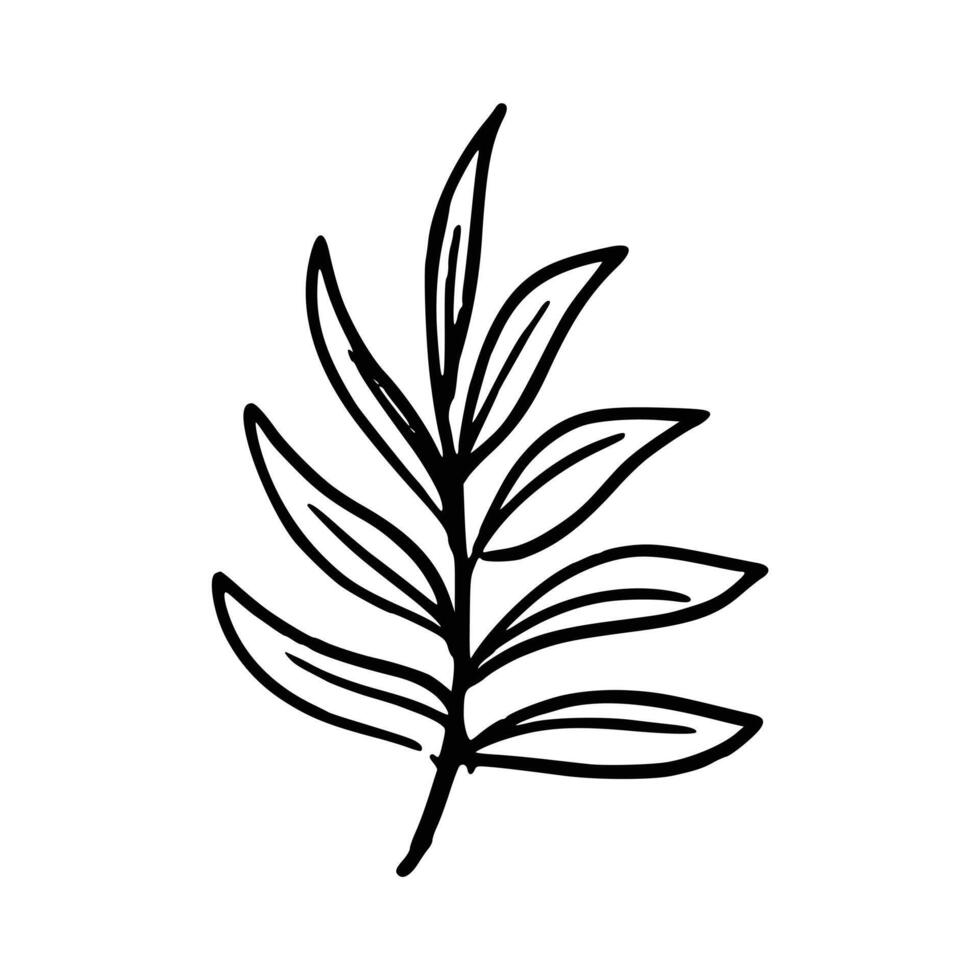 ritad för hand botanisk blommig vektor