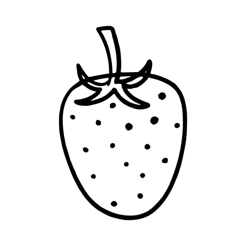 ritad för hand jordgubb frukt vektor