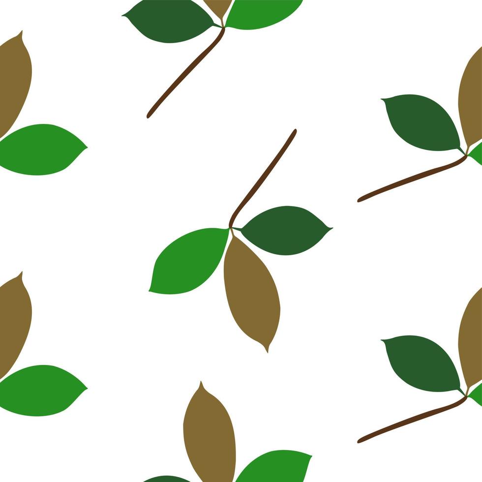 Nahtloses Muster von Farn verschiedenem Baum, Laub natürliche Äste, grüne Blätter, Kräuter, tropische Pflanzenhand gezeichnet. Vektor frische Schönheit rustikaler umweltfreundlicher Hintergrund auf weiß