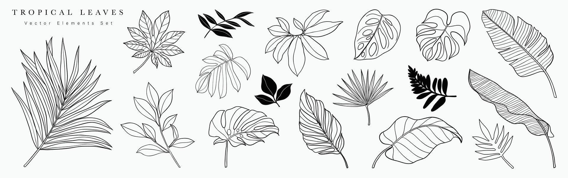 tropisk löv hand dragen linje konst och silhuett uppsättning. samling av blad gren, monstera, handflatan löv svart vit teckning kontur enkel stil. design illustration för skriva ut, logotyp, varumärke. vektor