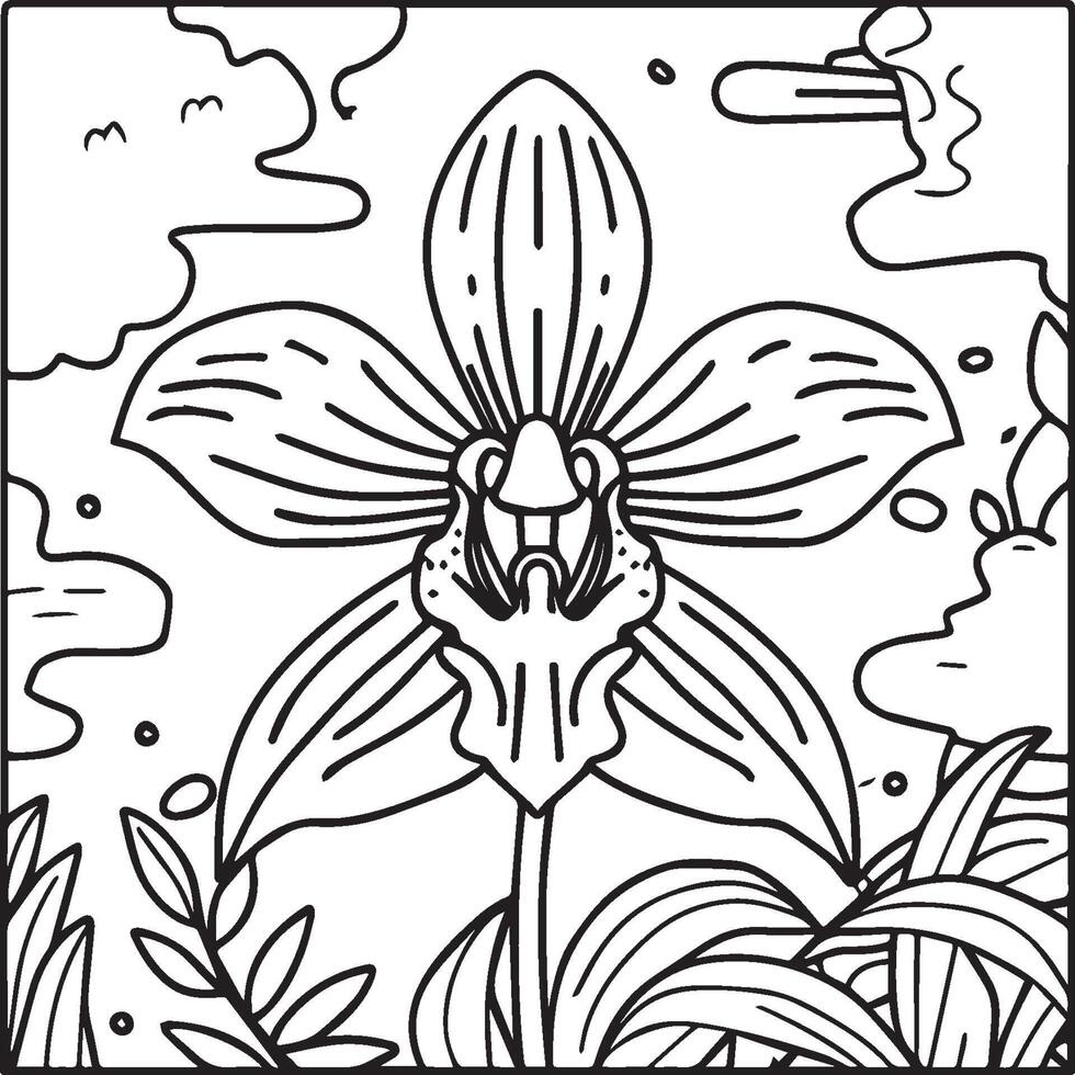 Orchidee Blume Färbung Seiten. Orchidee Blume Gliederung zum Färbung Buch vektor