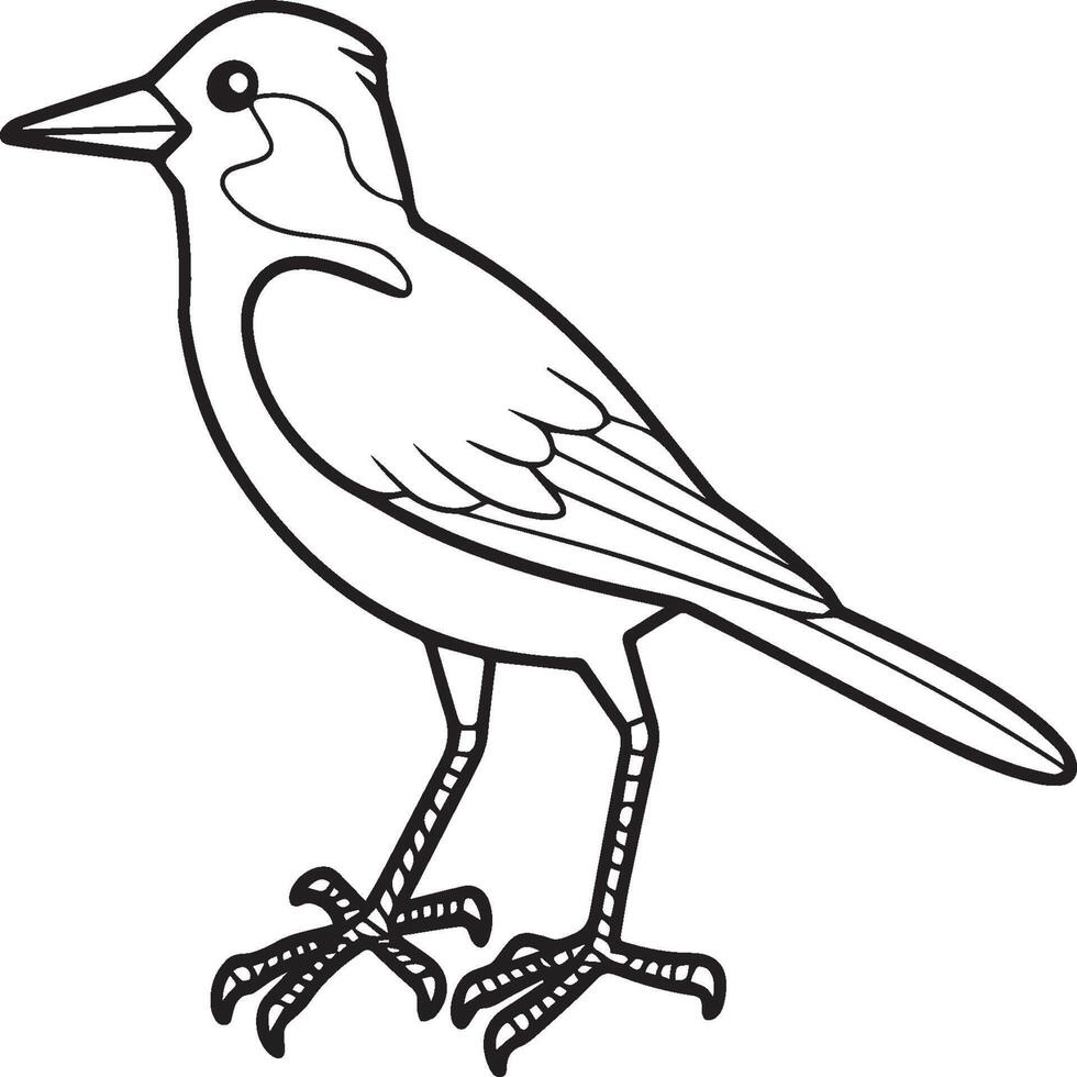 skata flygande fågel för barn. färg bok. fågel illustration. skata färg sidor vektor