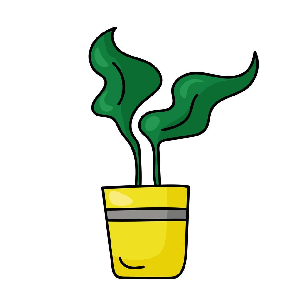 växt i gul kruka med breda ljusgröna blad, krukväxt i doodle stil för design vektor