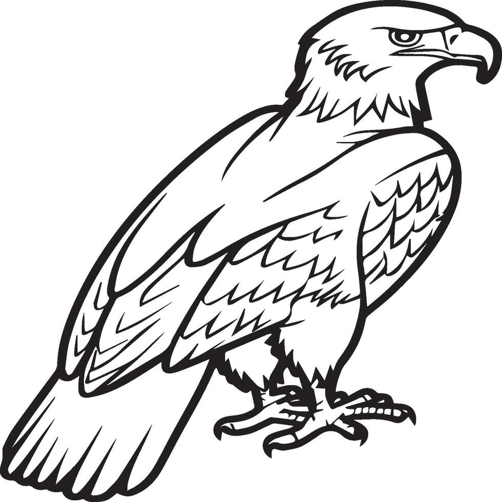 Adler Färbung Seiten. Adler Vogel Gliederung zum Färbung Buch vektor