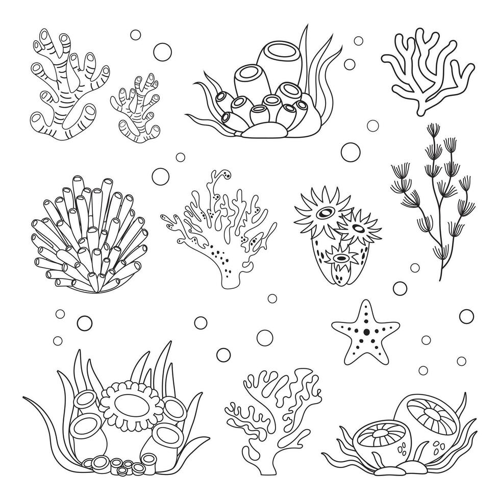 marin uppsättning, alger och korall i enkel linjär stil. svart och vit grafik för böcker och posters vektor