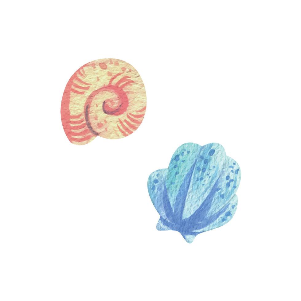 snäckskal i korall, turkos och blå färger. hand dragen vattenfärg illustration. under vattnet värld, hav ClipArt för dekoration och design. uppsättning av element isolerat från bakgrund. vektor