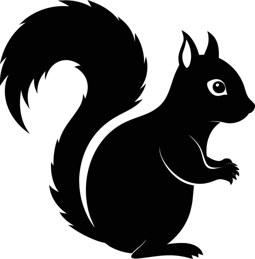 Eichhörnchen Silhouette auf Weiß Hintergrund vektor