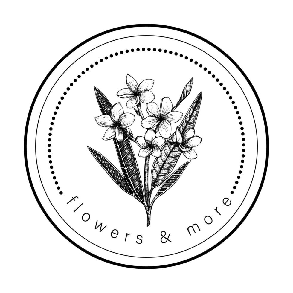 Vektor handgezeichnete tropische Blume Plumeria in einem Kreis. Logo mit tropischem Thema für Floristengeschäfte oder anderes Blumendesign. Linienschattierungsgrafik
