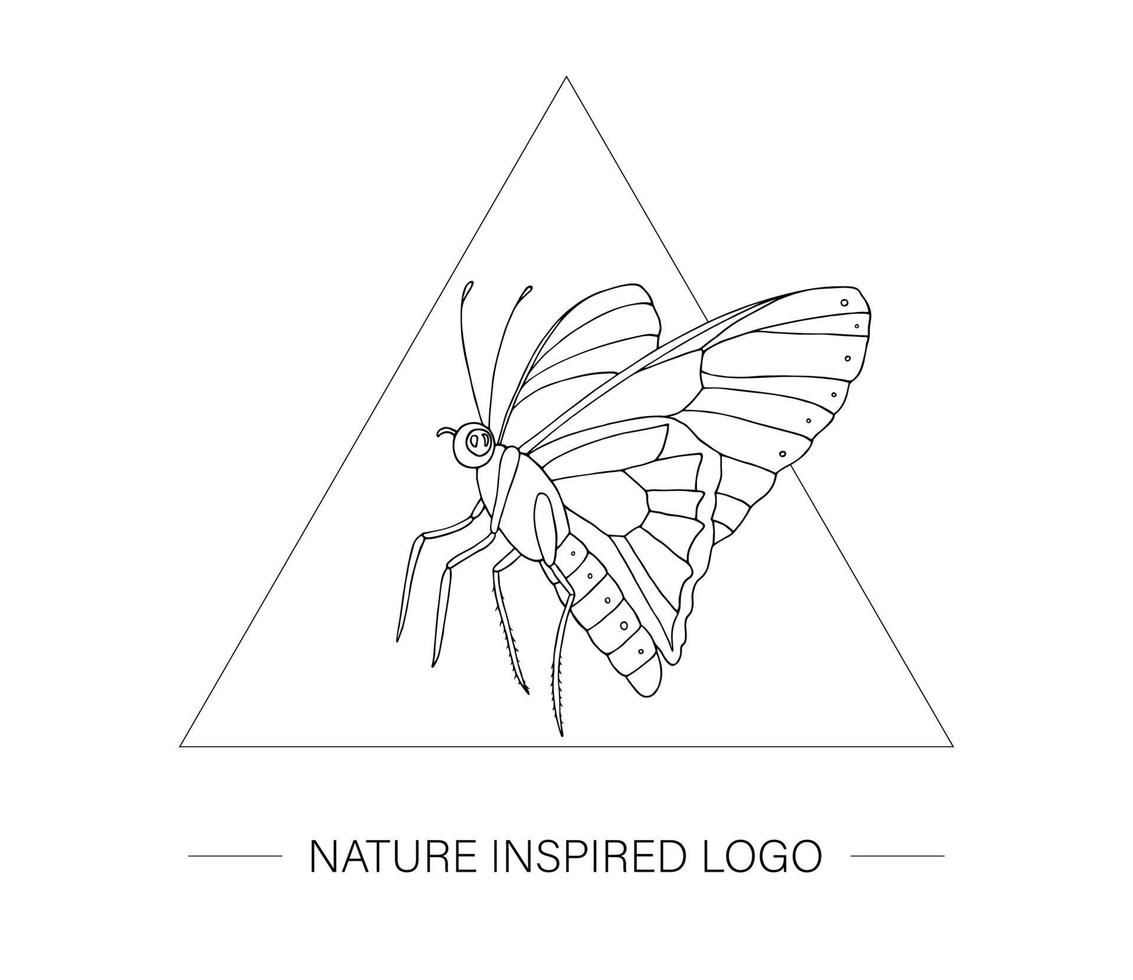 Vektor handgezeichneter tropischer Schmetterling in einem Dreieck. Logo mit Insektenmotiv für natürliches Design. Motte Umriss isoliert auf weißem Hintergrund