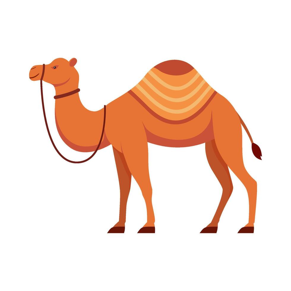 platt illustration av kamel på isolerat bakgrund vektor