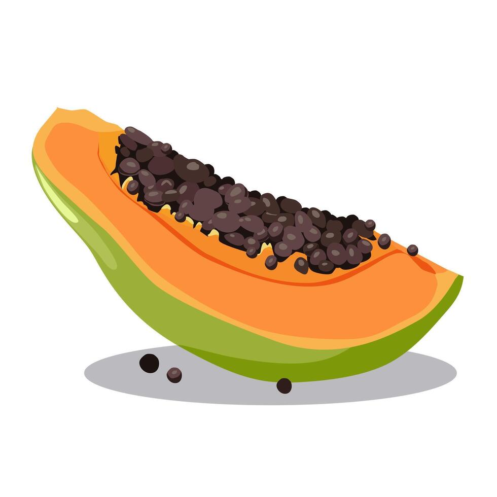 saftig und gesund Gelb Orange Schnitt Papaya mit Grün Blätter. isoliert Illustration auf Weiß Hintergrund. Sommer- Obst zum eben Design von Karte, Banner, Flyer, Verkauf, Poster, Symbole vektor