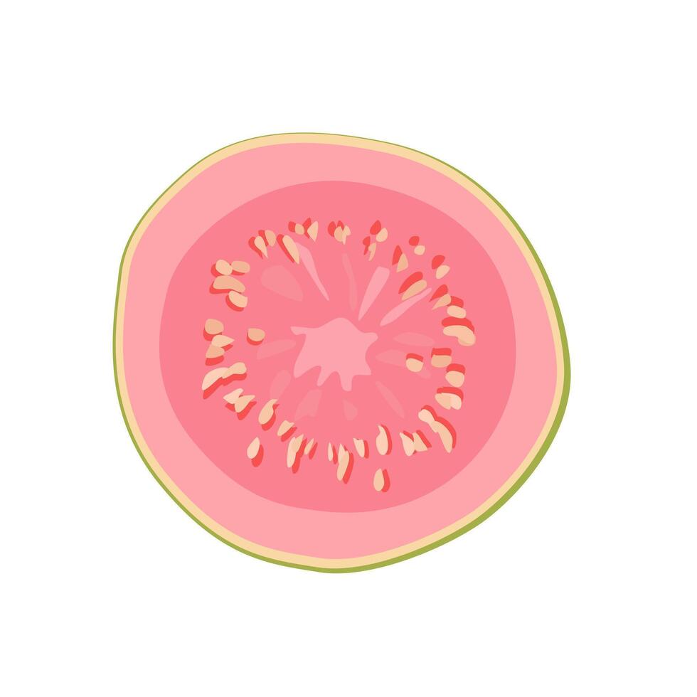 saftig och friska rosa tunn skiva av guava isolerat på vit bakgrund. skivad tropisk frukt illustration i platt stil. sommar ClipArt för design av kort, baner, flygblad, försäljning, affisch, ikoner vektor