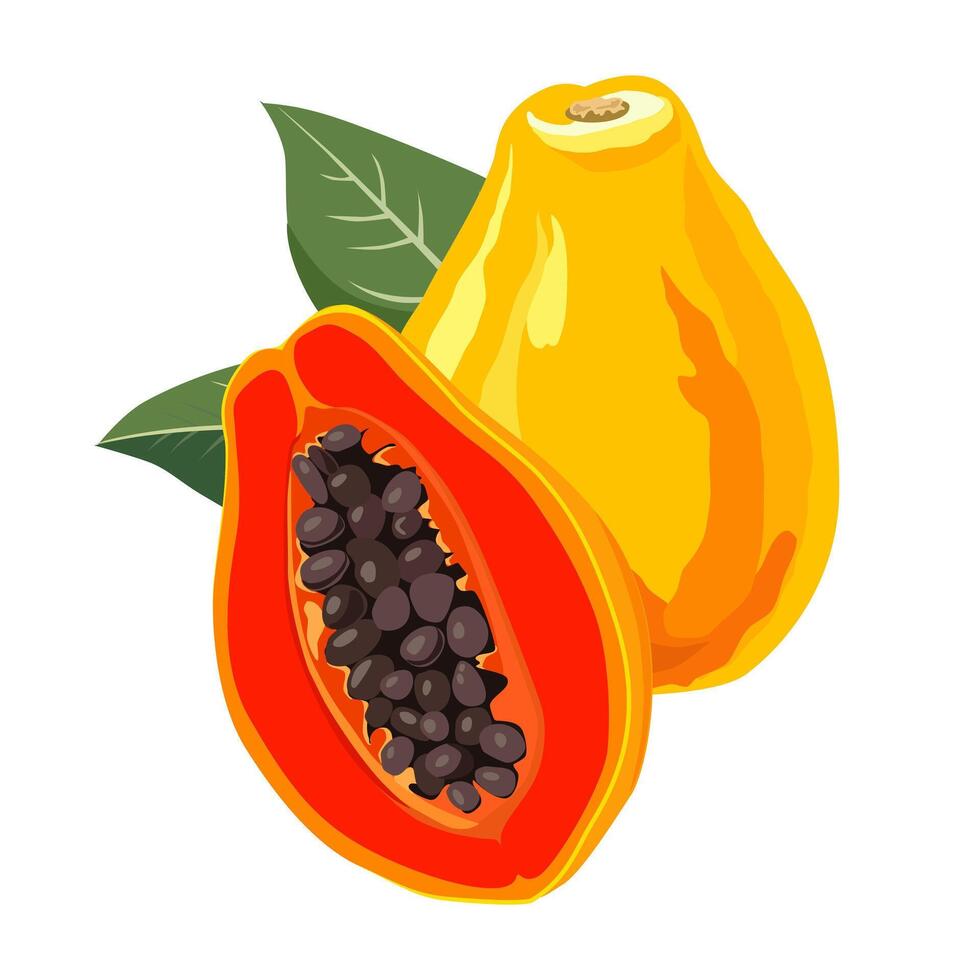 saftig och friska gul röd skära papaya med grön löv. isolerat illustration på vit bakgrund. sommar frukt för platt design av kort, baner, flygblad, försäljning, affisch, ikoner vektor