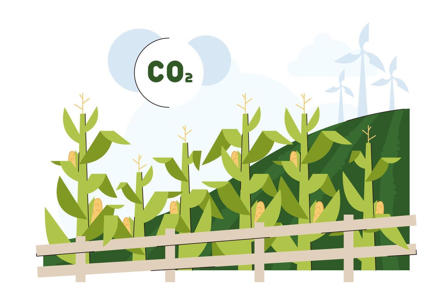 platt grön majs växter fält för biodiesel eller biobränsle råmaterial. lång majs stjälk löv omvandling till etanol bränsle. jordbruks biomassa korn för organisk bensin. förnybar energi källor. vektor