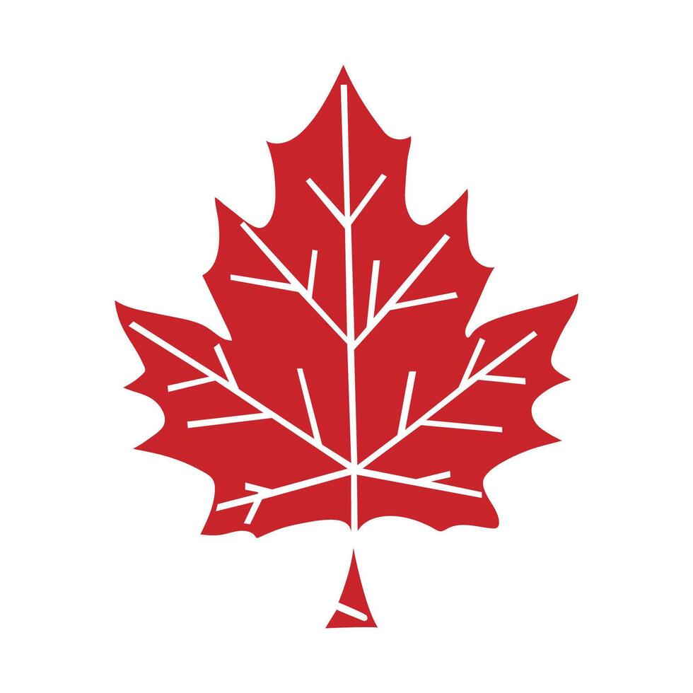 Kanada. lönn blad på en vit bakgrund.illustration. vektor
