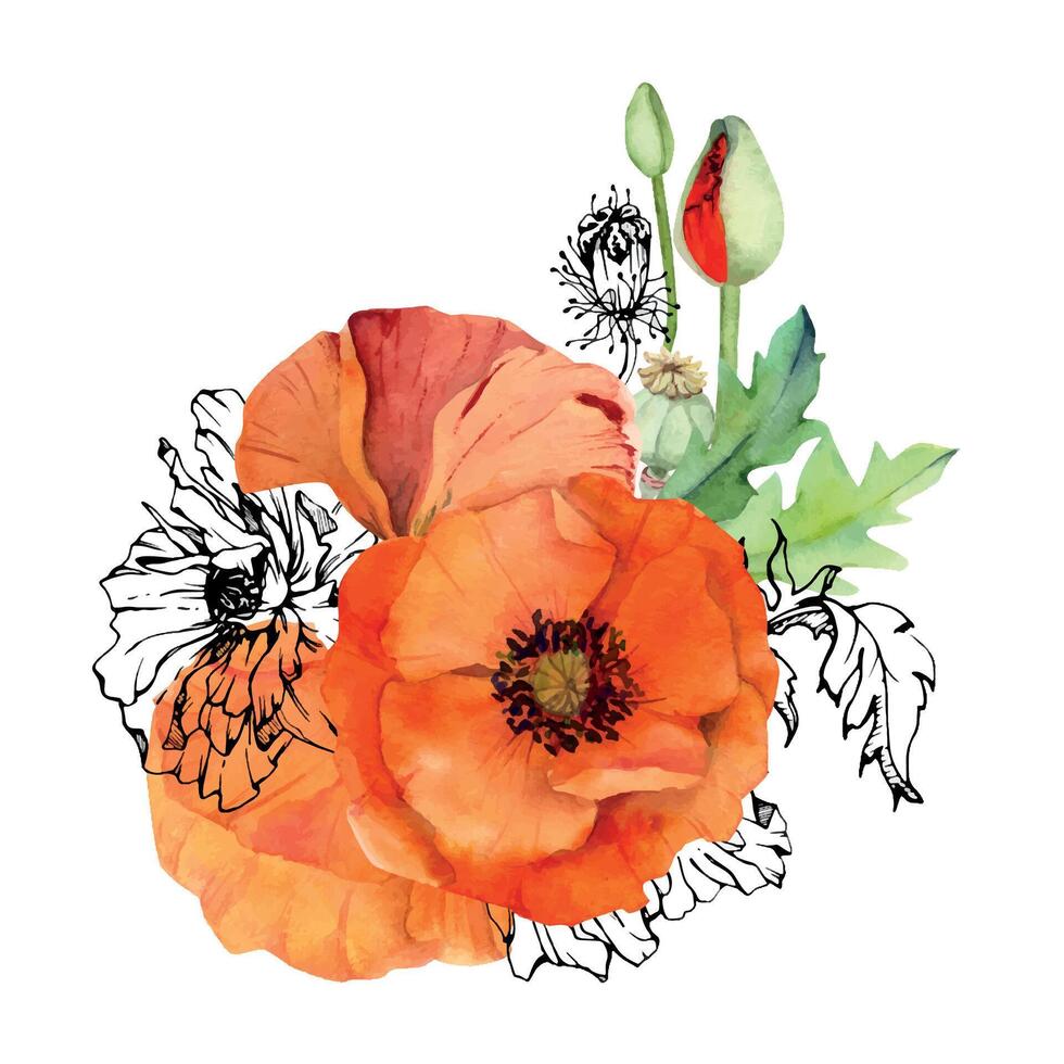 Hand gezeichnet Aquarell botanisch Illustration Blumen Blätter. rot Mohn Papaver, Stängel Knospen Samenkapseln. Feld Strauß isoliert auf Weiß Hintergrund. Design Hochzeit, Liebe Karten, Erinnerung Tag Schreibwaren vektor