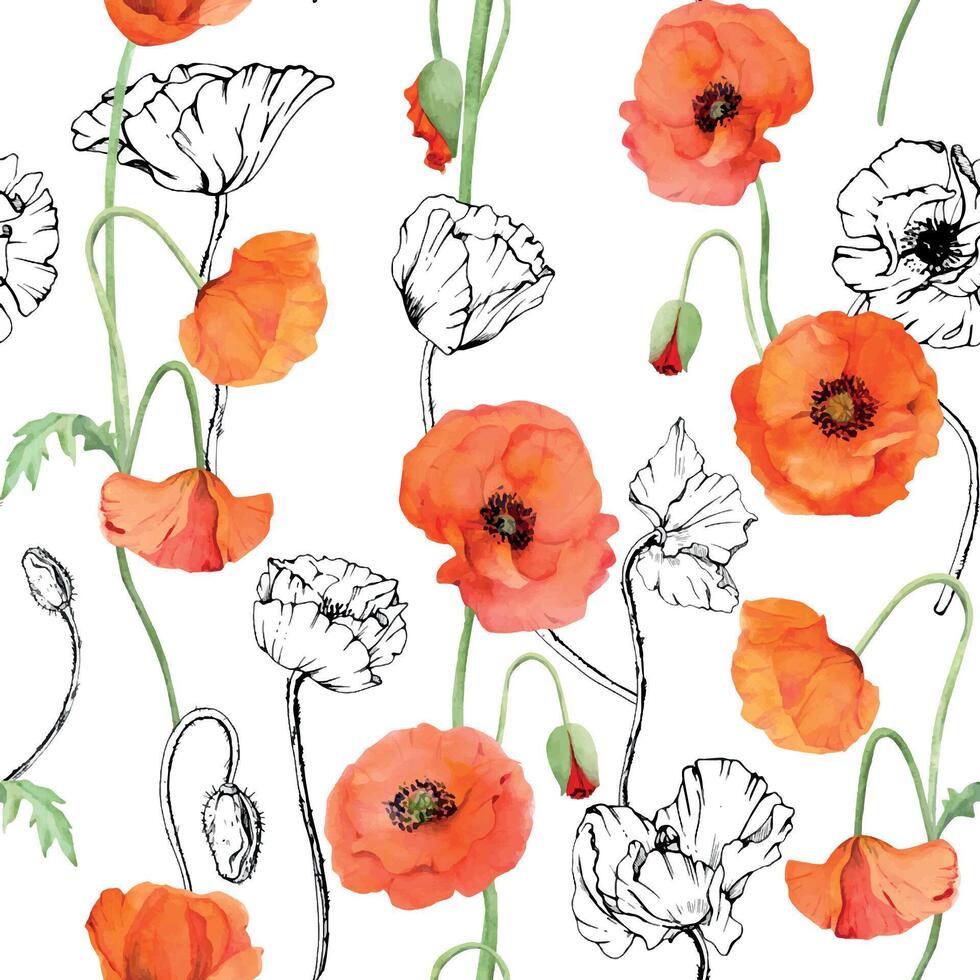 Hand gezeichnet Aquarell botanisch Illustration Blumen Blätter. rot Mohn Papaver, Stängel Knospen Samenkapseln. nahtlos Muster isoliert Weiß Hintergrund. Design Hochzeit, Liebe Karten, Erinnerung Tag Schreibwaren vektor